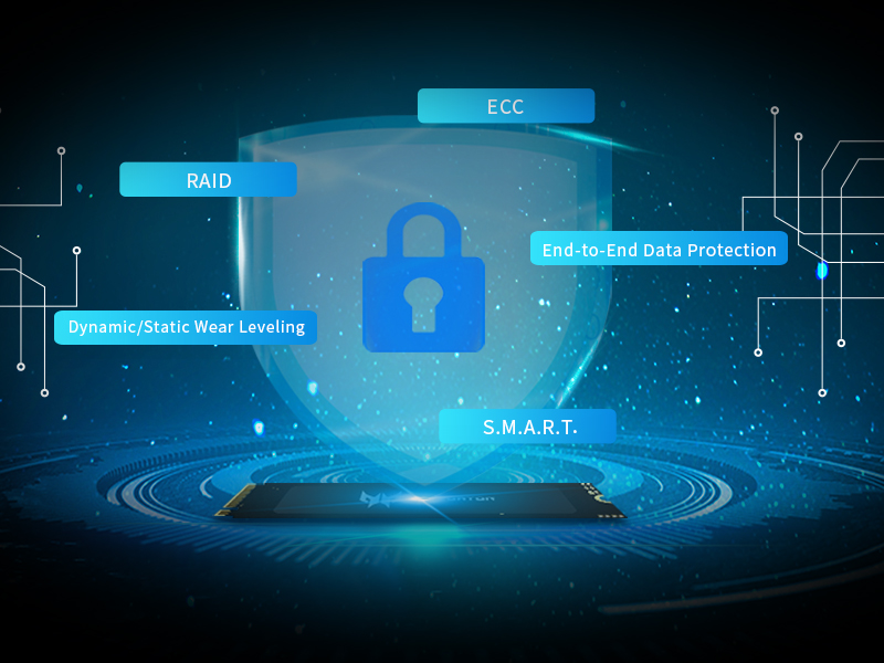 Predator Solid State Drive